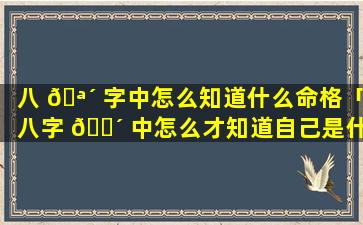 八 🪴 字中怎么知道什么命格「八字 🌴 中怎么才知道自己是什么命格了」